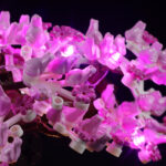 Compatible with LEGO LED Light for 10281 Creator Expert Bonsai Tree(Pink) Building Blocks Model BEST GIFT(Building Set NOT Included) - Image 7