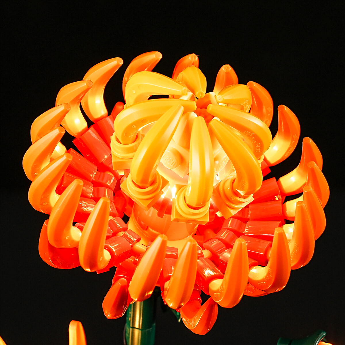 Compatible with LEGO LED Light for 10368 Icons Chrysanthemum  Building Blocks Model BEST GIFT(Building Set NOT Included) - Image 6
