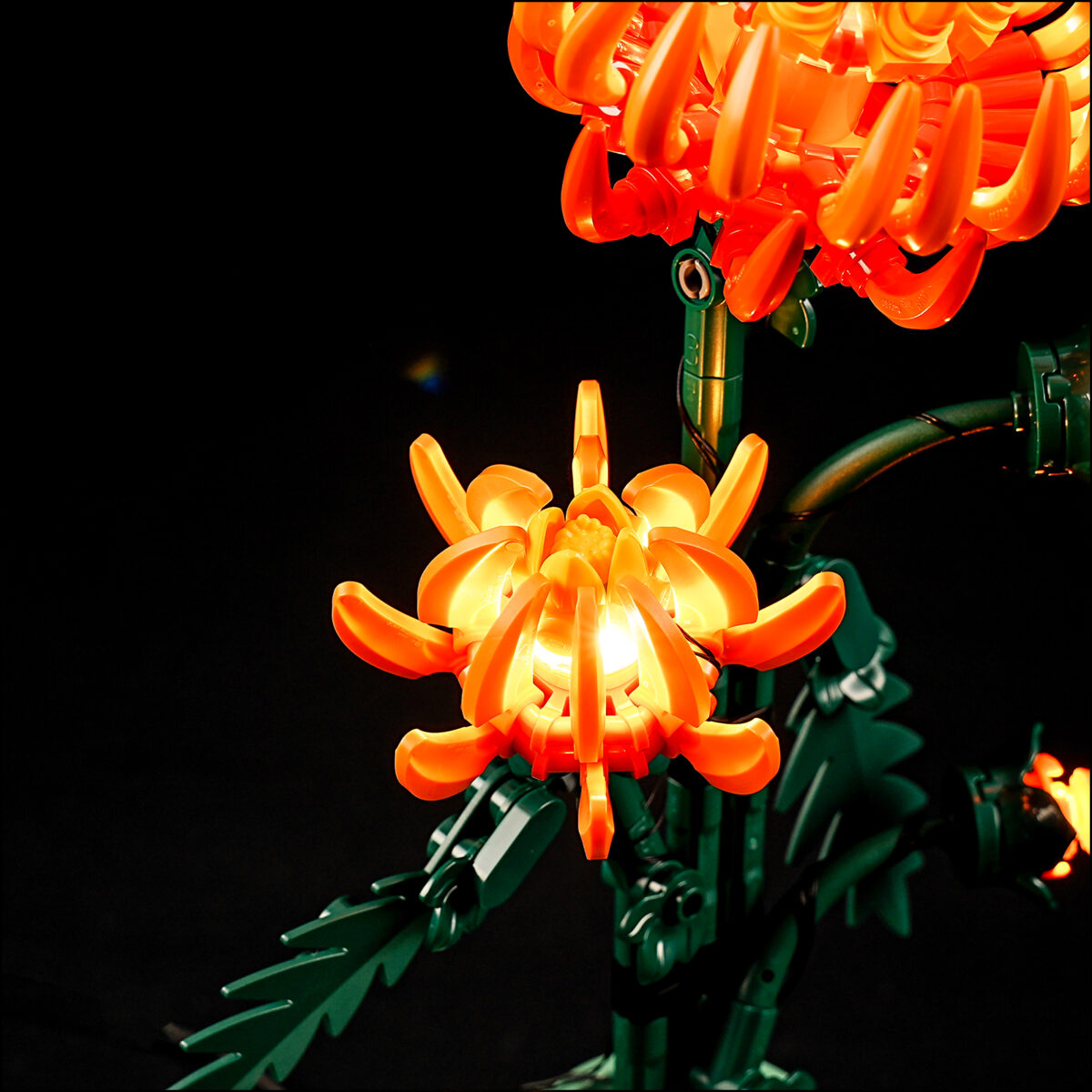 Compatible with LEGO LED Light for 10368 Icons Chrysanthemum  Building Blocks Model BEST GIFT(Building Set NOT Included) - Image 5